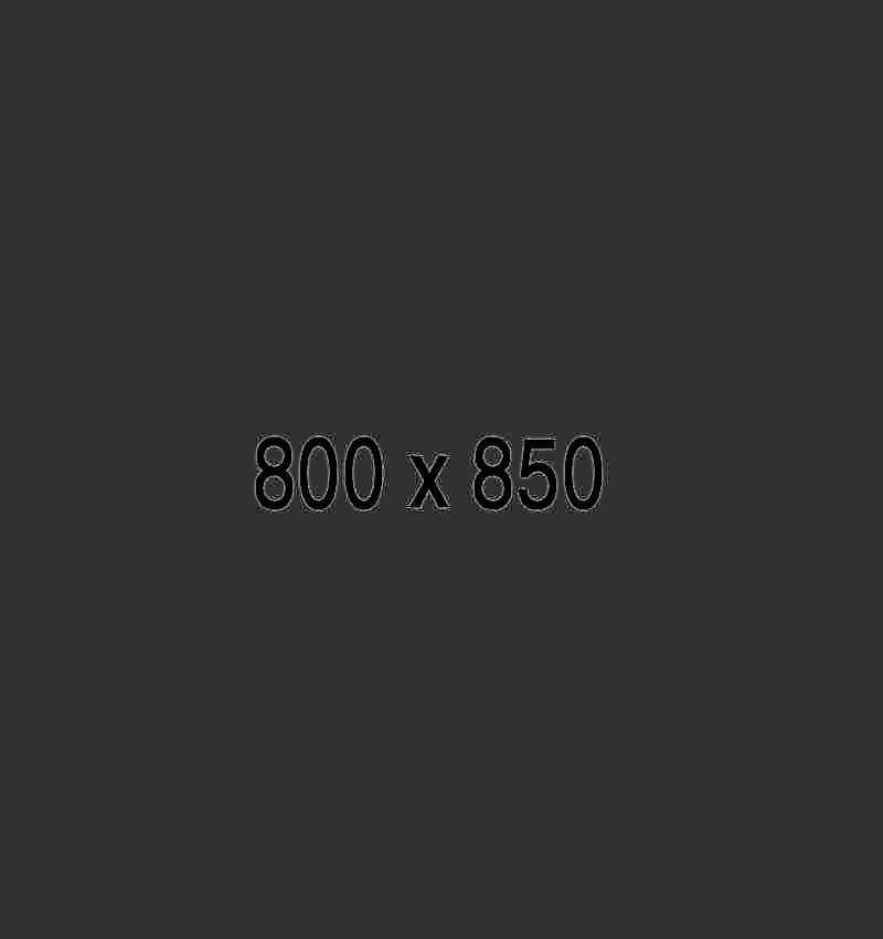 800x850